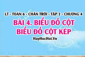 Khái niệm biểu đồ cột, biểu đồ cột kép là gì, cách đọc và vẽ biểu cột, biểu đồ cột kép? Toán 6 chân trời Tập 1 chương 4 Bài 4